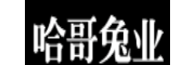 聯(lián)眾