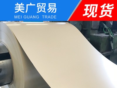 白色彩涂板雙面貼膜 大量供應鍍鋁鋅彩涂板 彩涂鋼卷 現貨批發(fā)