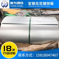 廠家鍍鋅板卷 電解板白鐵皮 寶鋼無花鍍鋅板現(xiàn)貨鍍鋅鋼板熱鍍鋅