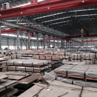 寶鋼冷軋卷滾動(dòng)軸承鋼結(jié)構(gòu)件用鋼 GCR6 105CR2 E50100