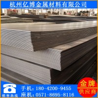 浙江 杭州廠家批發(fā)直銷熱軋板卷 開平板 熱軋薄鋼板 q235開平板