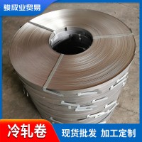 佛山現(xiàn)貨供應(yīng)SGCC精準平直冷軋卷 dc04冷軋鋼帶廠家