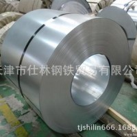 DC01冷軋 酸洗 冷軋卷板 冷板 冷軋板 鋼板天津仕林供應(yīng)