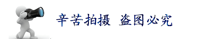 5-拍攝辛苦