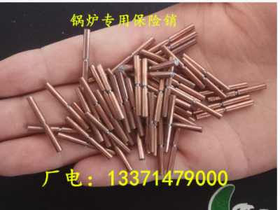 廠家直銷GL-5P鍋爐爐排減速機(jī)保險(xiǎn)銷 減速機(jī)防過載 安全銷 保險(xiǎn)棒