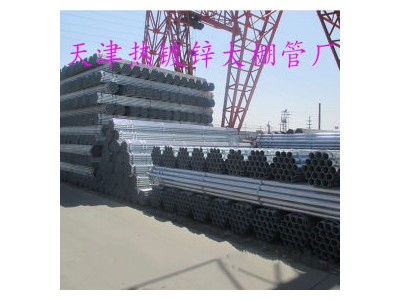 廠家供應(yīng)多規(guī)格熱鍍鋅大棚管 架子管高質(zhì)量熱鍍鋅鋼管
