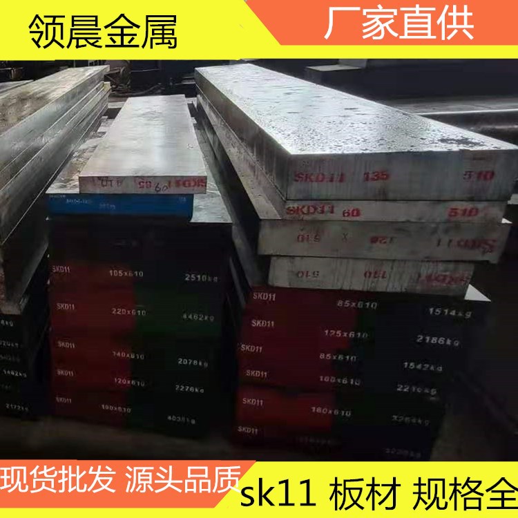 微信圖片_48 skd11_副本