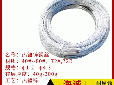 熱鍍鋅鋼絲架空鋼絞線,農(nóng)業(yè)通訊電力種植刀片刺繩用熱鍍鋅鋼絲