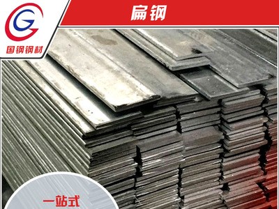 佛山扁鐵條圓鋼熱鍍鋅扁鐵圓鋼接地避雷可切割鋼格柵批發(fā)