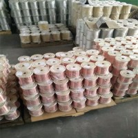 上海實(shí)驗(yàn)用tu1紫銅絲0.6mm0.8mmC1020無(wú)氧紫銅線廠家 TU2紫銅線