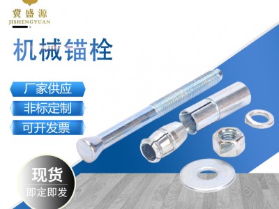 機(jī)械錨栓 304 316不銹鋼化學(xué)錨栓 械錨栓 后擴(kuò)式錨栓