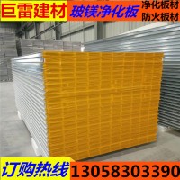廠家直銷 玻鎂夾芯板 凈化車間 醫(yī)療機構(gòu)玻鎂板 彩鋼玻鎂板