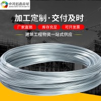 廠家現(xiàn)貨光亮冷拔絲鍍鋅絲 大棚建設(shè)葡萄搭建Q195鍍鋅絲 8號(hào)鋅絲