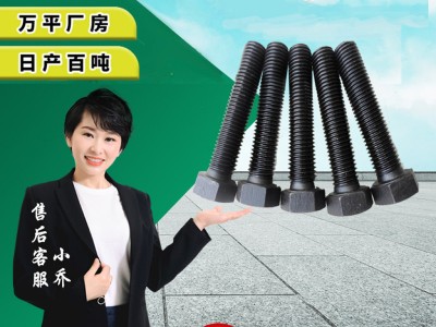 廠家供應(yīng)GB30鍍鋅螺栓 高強(qiáng)度鍍彩鋅螺絲 8.8級(jí)外六角達(dá)克羅螺栓