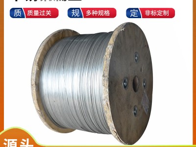 廠家供應(yīng)201不銹鋼扁絲 304不銹鋼彈簧線材不銹鋼光亮絲