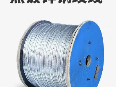 供應(yīng)12號熱鍍鋅鐵絲果園拉線鋼絲截斷捆綁鐵絲桶提梁衣架改拔絲