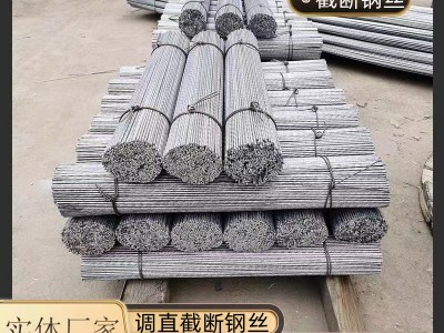 供應(yīng)截斷鋁包鋼絲2.2mm熱鍍鋅鋼絲葡萄園拉線鋼絲避雨棚地錨鋼絲