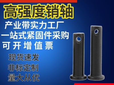 廠家定制加工高強(qiáng)度銷軸65錳鋼不銹鋼加長(zhǎng)圓頭平面帶孔鍍鋅銷軸